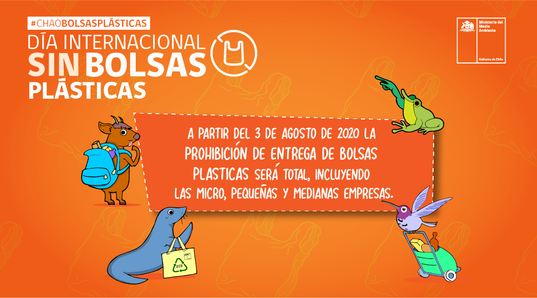 Diainternacionalbolsasplasticas1_twitter